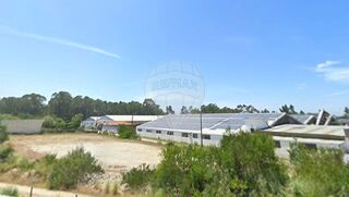 -2123931196007_f9323e86-bfa7-4edb-b4b1-2e0413622615.jpg