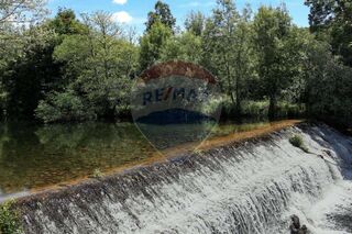 -2123951016268_9be10dc0-14bf-44db-a3a2-d89ea4a54e75.jpg