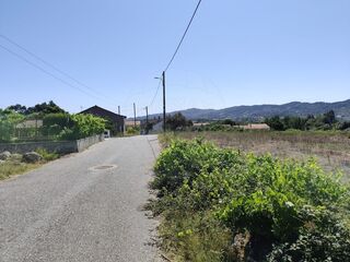 -2123951016362_6cf7da02-ab44-4bb5-b8a7-9da0561a88fd.jpg