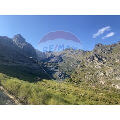 -2123951083127_fe8511c1-bfa5-4e5b-9649-ce41ff7e18ea.jpg