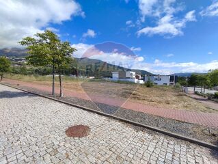 -2123951137045_dccd1a29-056d-4d12-b680-07e8670c45eb.jpg