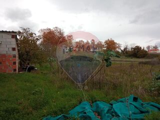 -2123951146049_3971d2ee-0f52-41fb-a3e5-011c3edb17bc.jpg