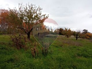 -2123951146049_57ab952a-24af-48d3-b607-efb2f60cc580.jpg