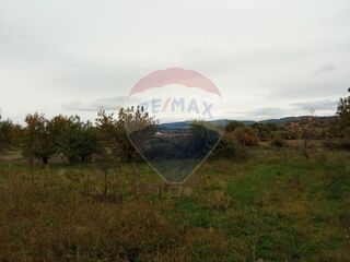 -2123951146049_b58ab19f-8889-4a7c-b2df-f91b25cb4726.jpg