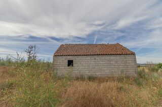 -2123951146095_875018ed-cf65-467a-b1a1-815b60e0e076.jpg