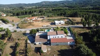 -2123951163056_3de81818-cca4-4f97-ac27-b8aeaae3635e.jpg