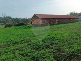 -2123951163058_d576f578-3db1-4aec-b770-f1ccc0897844.jpg