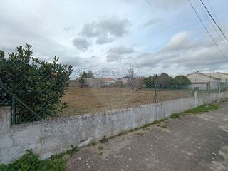 -2124071158057_34e114a8-3fdf-48ab-82c2-c940eeaeb595.jpg