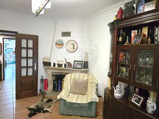 -2124101131030_d5526f8e-cdb6-491a-9d1a-a07abb8278f8.jpg