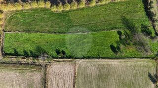 -2124111038397_9ea533d0-0a25-4879-a9f5-e640fae03c58.jpg