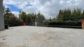 -2124111038410_d9922e04-688d-4fe8-8386-08626c09869d.jpg