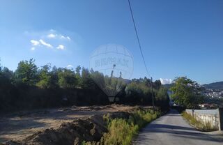 -2124111045023_581682df-bf27-42e6-9b3c-9ae3c985c786.jpg