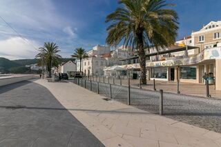 -2124161190011_1070fdab-a8d0-4c1d-8554-3dd2d0afe842.jpg