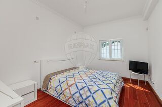 -2124161285013_2190d523-ce24-490a-8ac5-d653279a1dd7.jpg