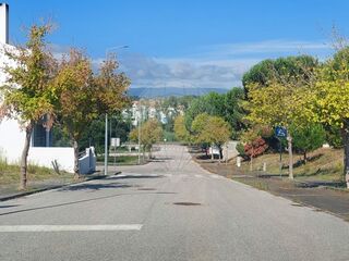 -2124181069005_6c3d9838-9601-4cfa-845e-aa48801a1179.jpg