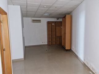 -2124271010224_785514ae-a915-4e68-a800-d34acc907ccc.jpg