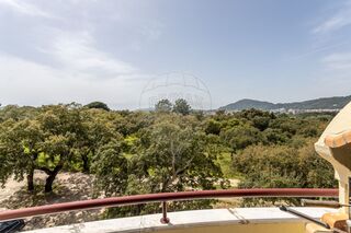 -2124291073032_7e086aad-adec-43e6-b5ff-0bcb7e522e60.jpg