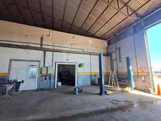 -2124301090012_6210b8a9-cf71-4044-b2dd-6adbb091ab96.jpg