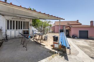 -2124301191008_9edaa2bd-aa8d-4eb5-9e42-2cd641c64ef2.jpg