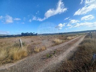 -2124351025275_2c9f4b6c-2320-4d5d-832e-6b50139c48ff.jpg