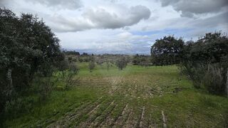-2124351031135_a99e0797-49e0-4d5d-ab18-38537db830d8.jpg