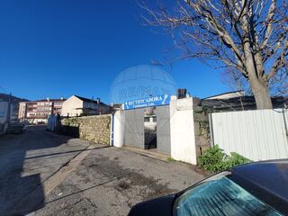 -2124401127042_31258ac3-fbd2-4cfa-b600-f81115dd3a6e.jpg