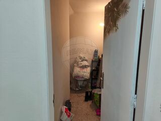 -2124481088002_cd3194bd-6aaf-4dda-887d-751264ce925b.jpg