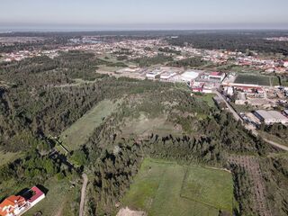 -2124541059116_57cbda50-7f44-4db3-b136-9c4458af771f.jpg