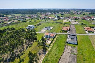 -2124541067070_5f68d8d5-43ff-4ffd-bb85-424abaa4de35.jpg