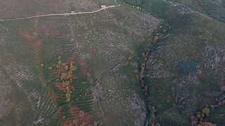 -2124611014128_bd1aa7d8-12df-4366-9ee2-b0367c0c3fb4.jpg