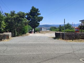 -2124611079003_f3c55e23-6b01-4557-a97f-44288921be55.jpg