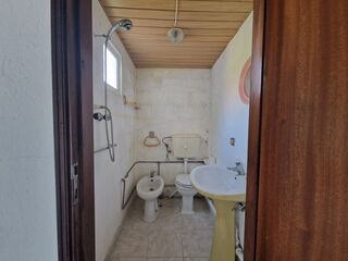 -2124631125034_8e352887-0818-45ac-8ef5-ba00d27c5012.jpg