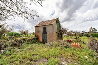 -2124651171025_00280f04-016e-4845-9046-57a950eed93e.jpg