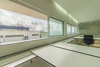 -2124721165079_69d7397f-1a47-425a-8415-8020a696ede4.jpg