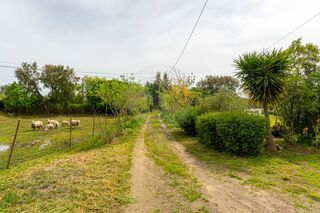 -2124771018093_bc3a9434-b216-4626-bd76-9b3361491b86.jpg