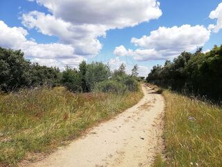 -2124771085005_a861eb15-396d-4943-a1e5-bc5f8c426cf9.jpg
