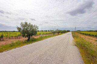 -2124771165001_a00b121d-12a0-4c1c-9d17-08f28d634344.jpg