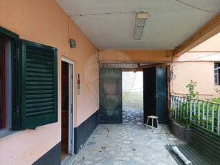 -2124791010199_ec985317-b8d3-4ec3-a7dc-38b9e4afcb0a.jpg