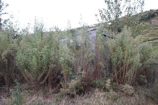 -2124791019059_0fae3106-578b-4bf8-982a-39419e7bde44.jpg