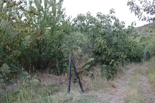 -2124791019059_2ab2a3c5-d3ac-447c-b211-4739a1e07f48.jpg