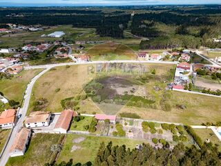 -2124821012126_0f389093-b927-4ab8-9055-e52e8ae0cda4.jpg