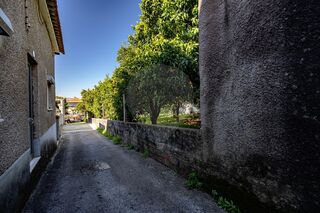 -2124821012166_212a9e8e-e52e-4639-b5ce-6f57231c56b1.jpg