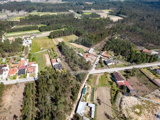 -2124821016053_665b5b78-9fd3-4453-aef0-299caffb00e9.jpg