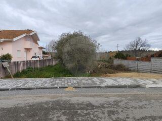 -2124821047016_e3fb492a-b291-4d65-b236-937ab6aefe46.jpg
