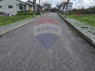 -2124891003590_0879d8ab-85d6-4e19-bc1d-27fe1e95d7d6.jpg