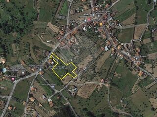 -2124891005236_975fc022-7252-4457-a262-967cedde0b65.jpg