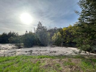 -2124891007299_208e7c64-242a-4573-9f29-9ddab729c3c7.jpg