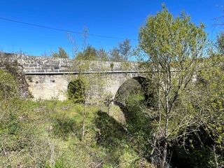 -2124891026031_0e52c775-2aa4-4dd8-94c0-31e5befa99b9.jpg