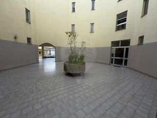 -2124891028206_e8a70940-66b3-4f4d-91ce-cd08b7f004cf.jpg