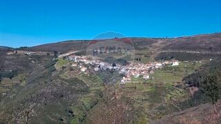 -2124891035009_3b049cb4-292d-4fd1-8f0a-c2860e631e50.jpg